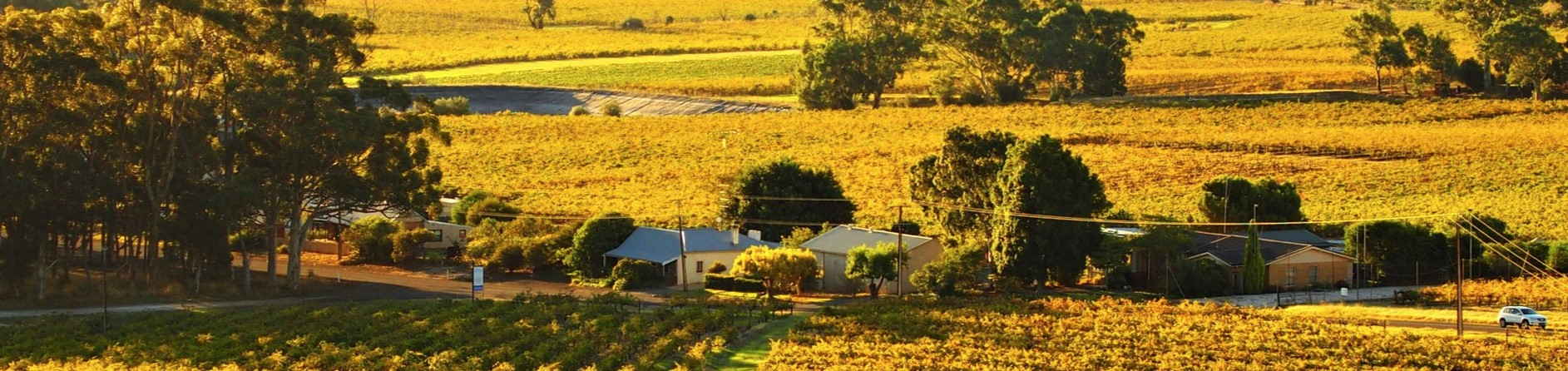 How to Visit the Barossa Valley During Covid-19
