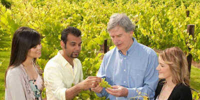Wine and Food Lover’s Barossa Valley Tour $169