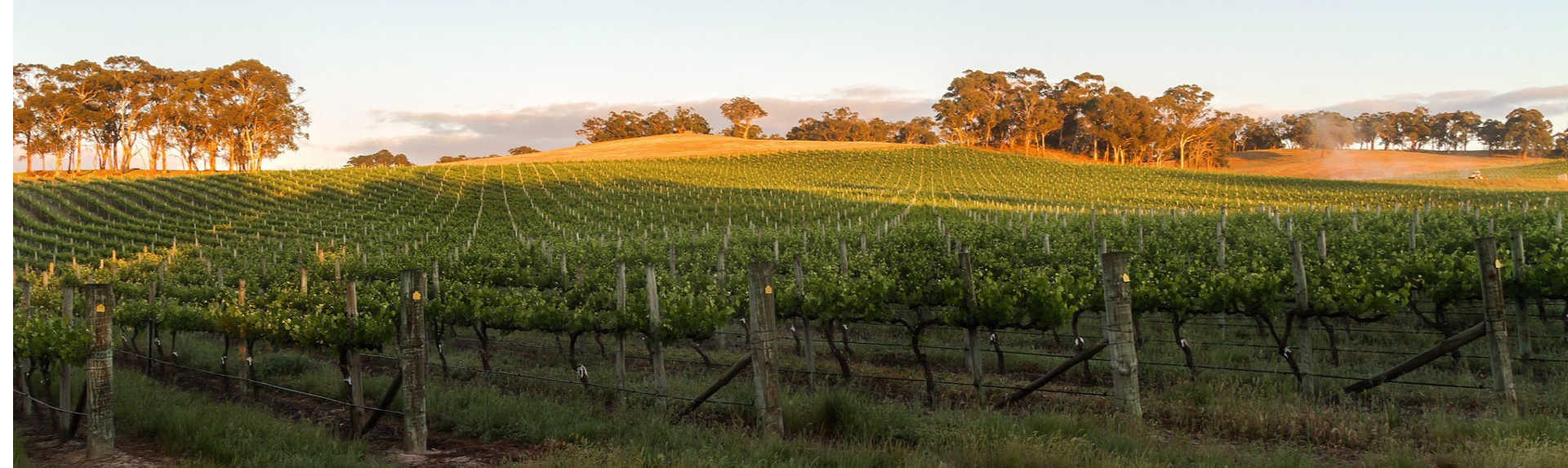 What is there to do in the Adelaide Hills?