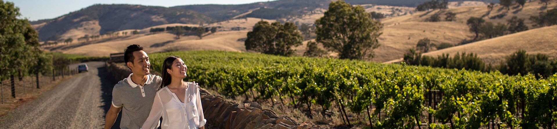 What is the best wine in the Barossa Valley?