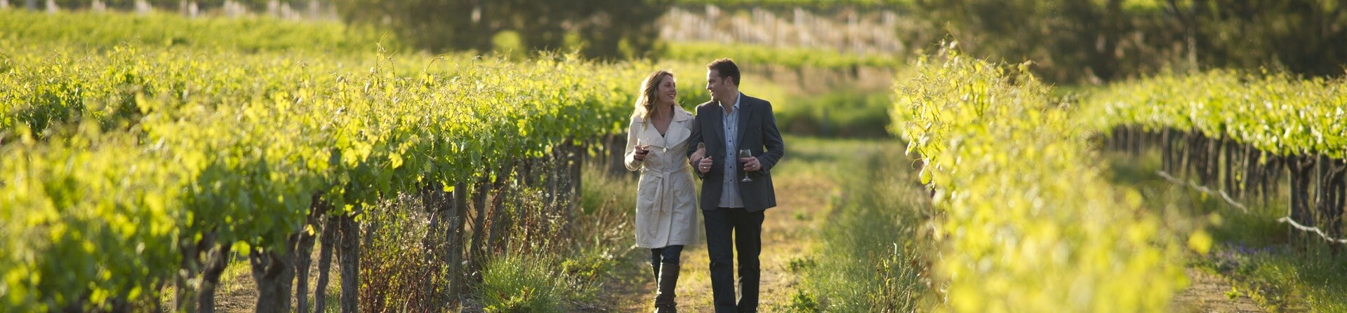 Can you walk between wineries Barossa?