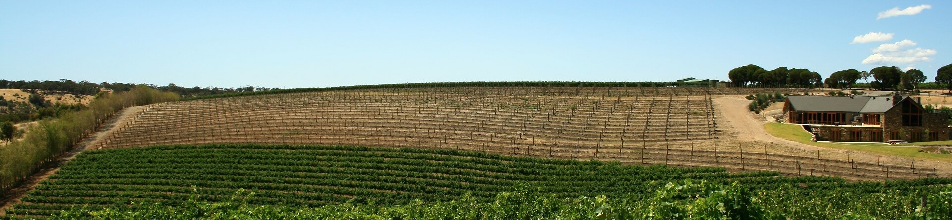 What wine is South Australia famous for?