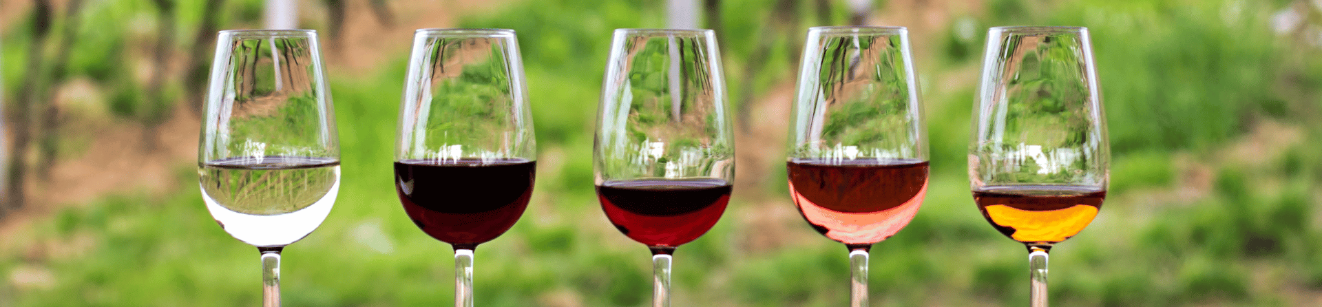 The do’s and don’ts of Barossa wine tasting