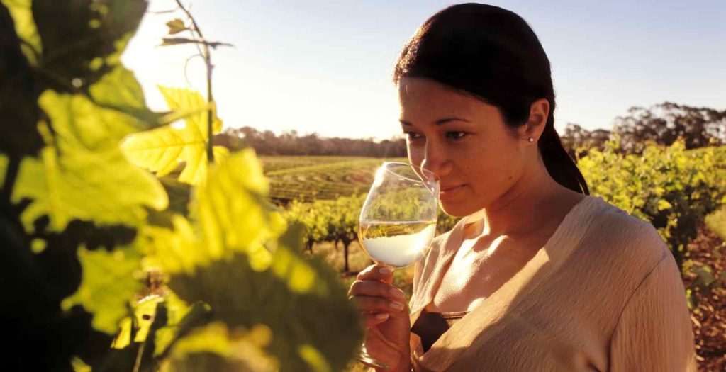 Barossa Valley & Hahndorf Wine Tour $198