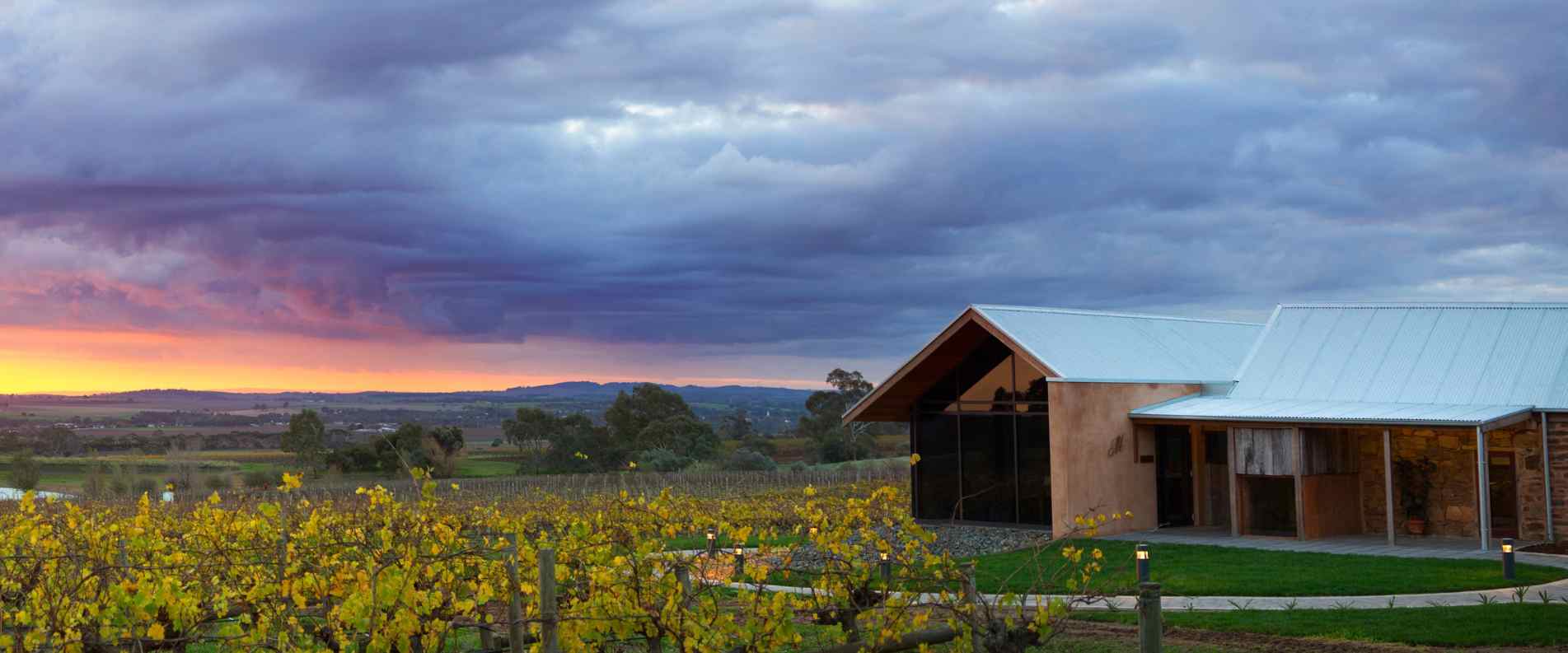 sunset over winery
