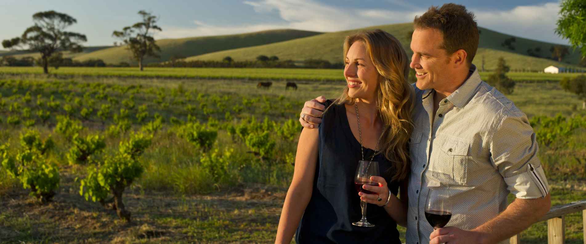 Couple hugging and holding wine in vineyard in Adelaide 
