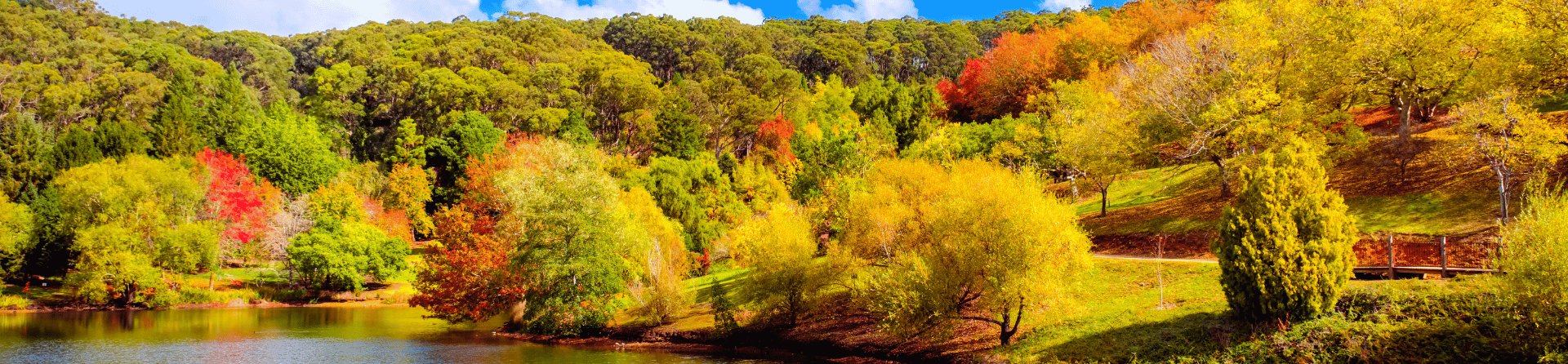 Adelaide Hills