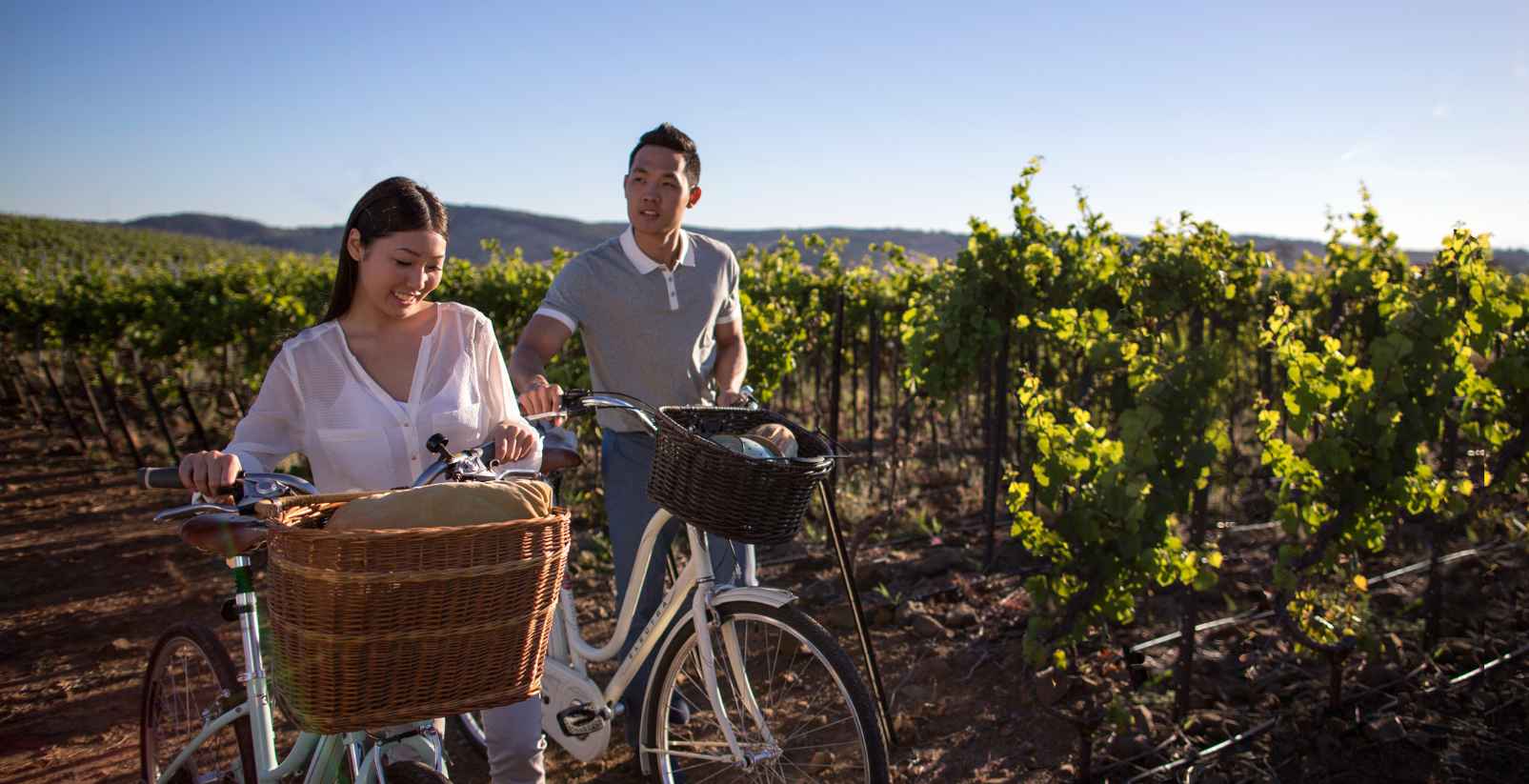 Couple walking with bikes through vineyard
