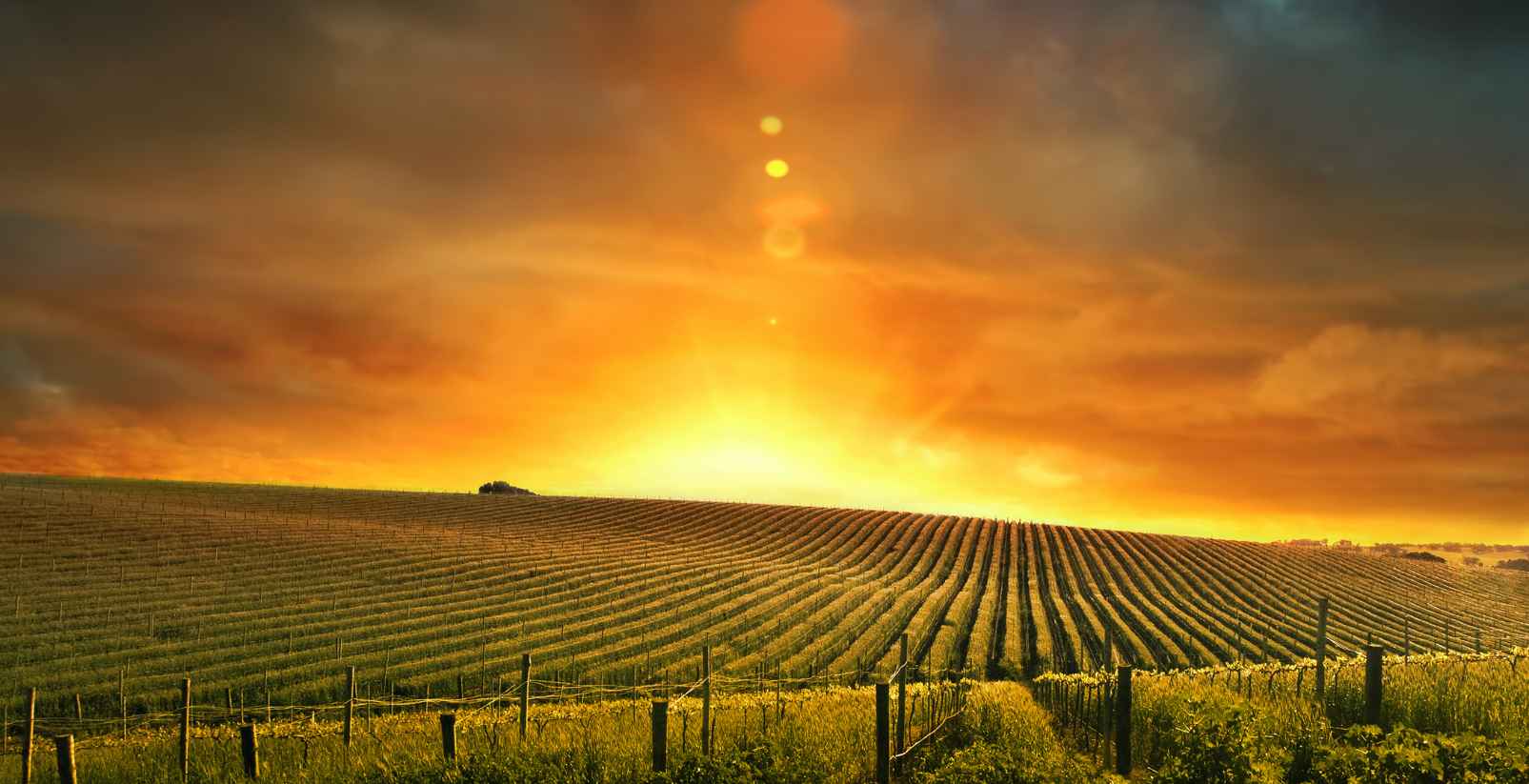 Sunset over the Barossa Valley
