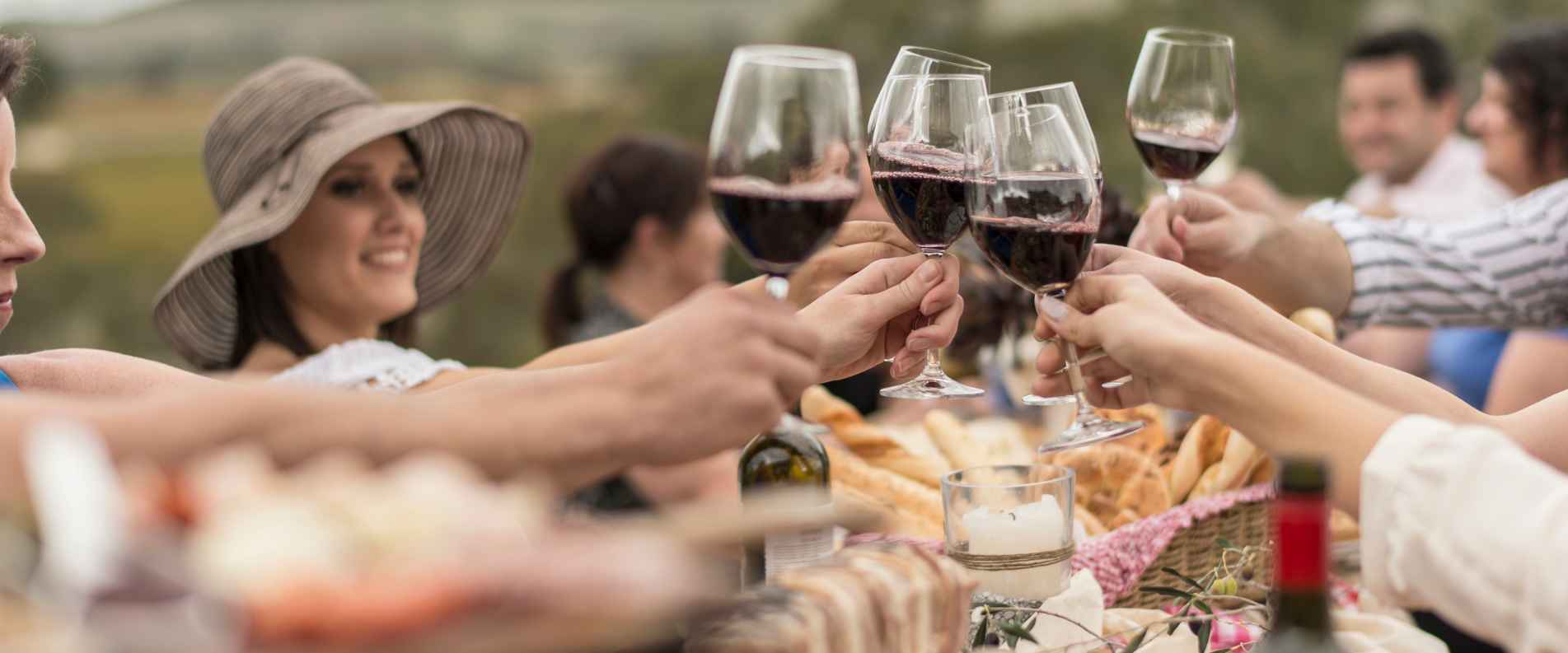 Group of people clinking glasses together over a meal at a winery