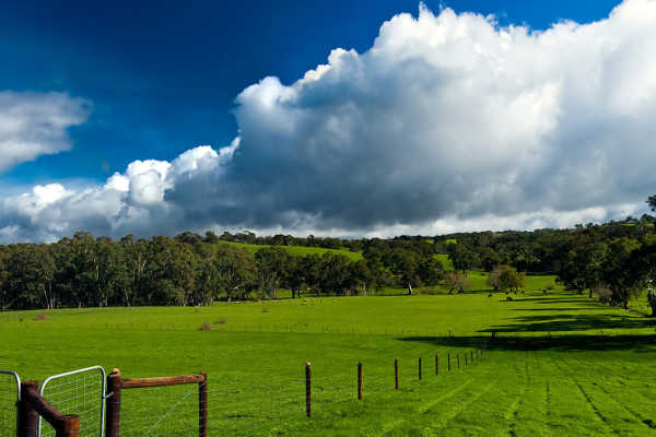 Adelaide Hills Winery