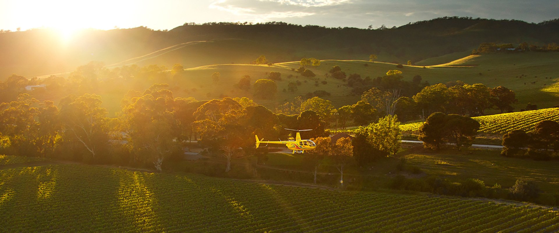 Barossa Valley