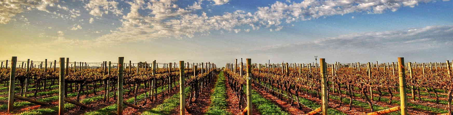 Barossa Valley, SA