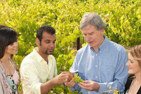 Wine and Food Lover’s Barossa Valley Tour