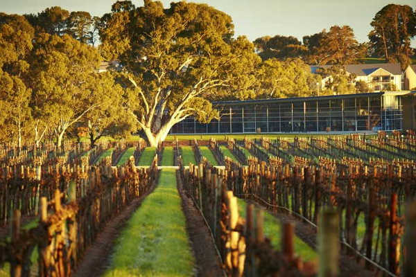 Jacobs Creek Winery