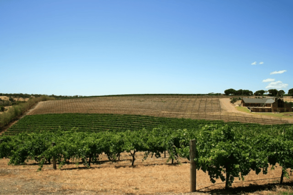 Barossa valley in south australia
