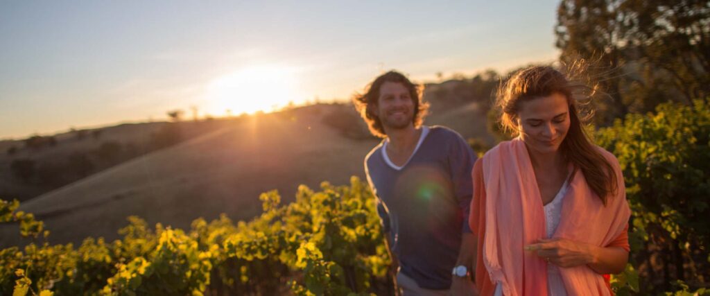 1 Day Barossa Wine Tour $159
