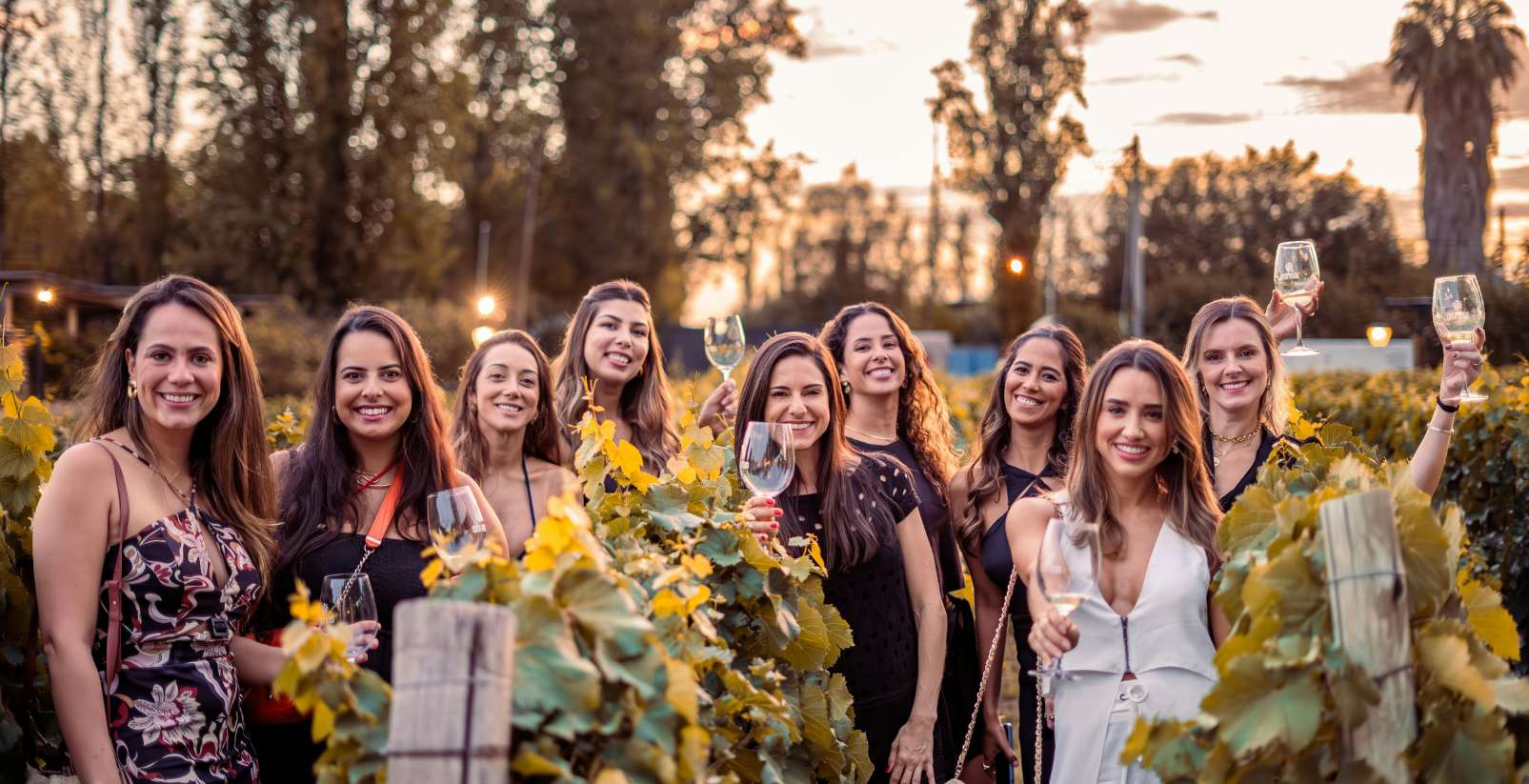 Group of women standing between vinyards all holding wine glasses